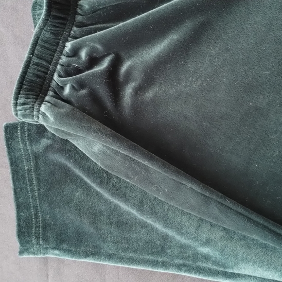 SJB Sport Woman's Pants Color: Forest Green Size Small Petite 100% Polyester - Picture 11 of 13